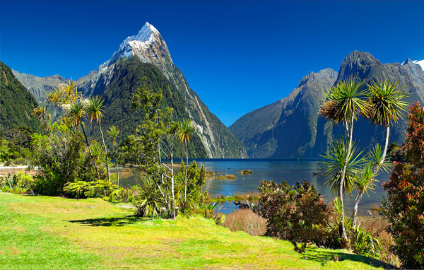 Plongée Nouvelle Zélande Fiordland