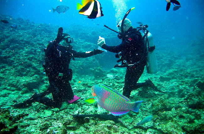 Raisons débuter plongée binome