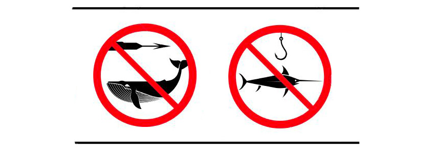 Interdictions animaux chasse