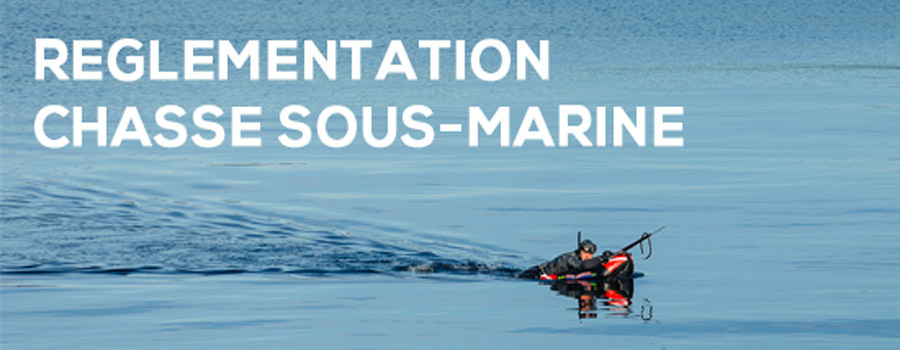 Reglementation Chasse Sous Marine