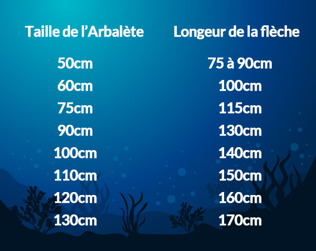 tableau choisir fleche arbalète chasse sous-marine