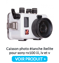 Caisson Ikelite Rx100