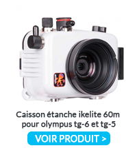 Caisson Ikelite Tg 6