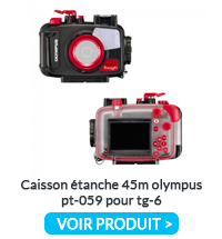 Caisson Pt 059 Pour Tg 6
