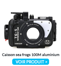 Caisson Sea Frogs 100m Aluminium