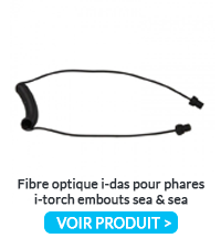 Fibre Optique I Das