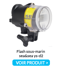 Flash Sous Marin Ys D2