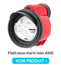 Inon D200