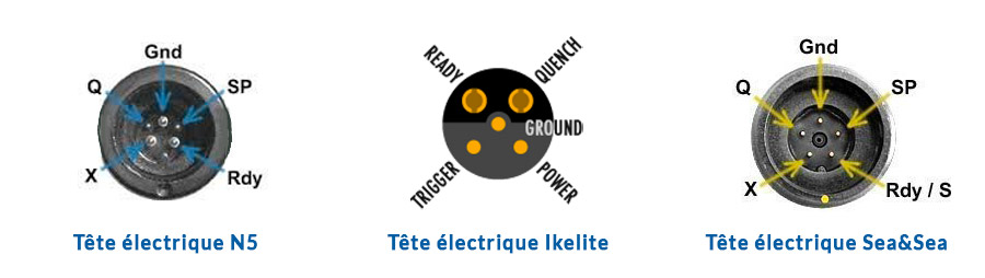 Tete Electrique Ttl