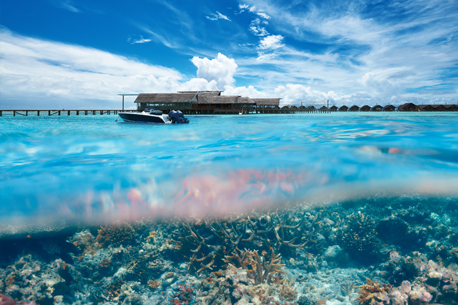 Photo 2 Mi Air Mi Eau