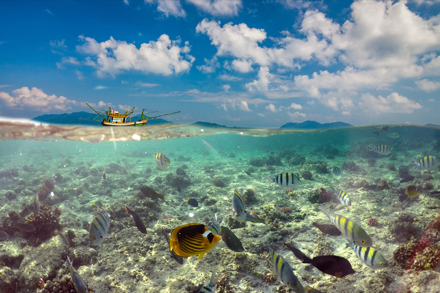 Photo mi-air mi-eau avec des poissons et un bateau