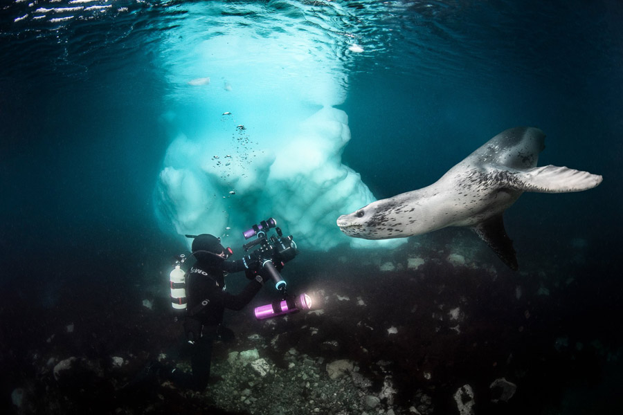 Img Marque Nauticam 2