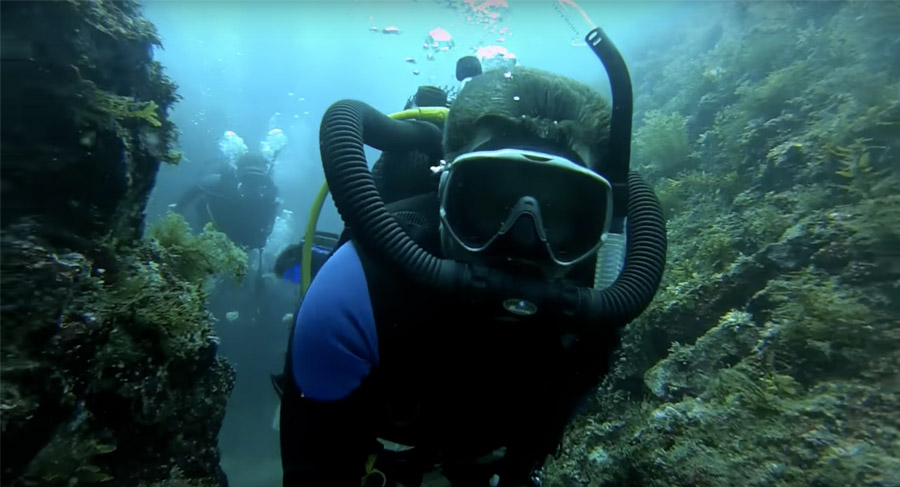 Marque Aqualung Mistral