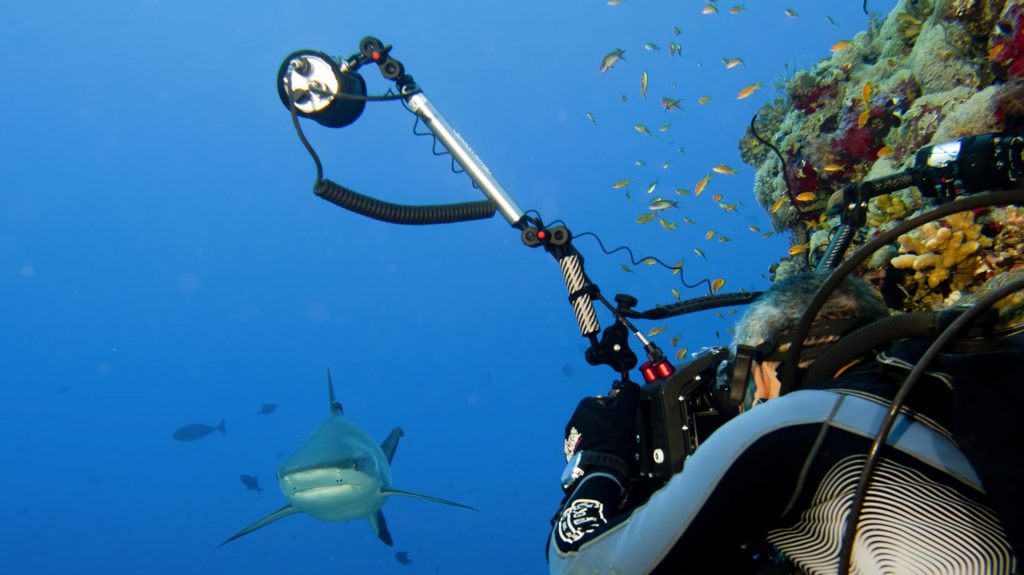 Accessoires Flash Photo Sous Marin