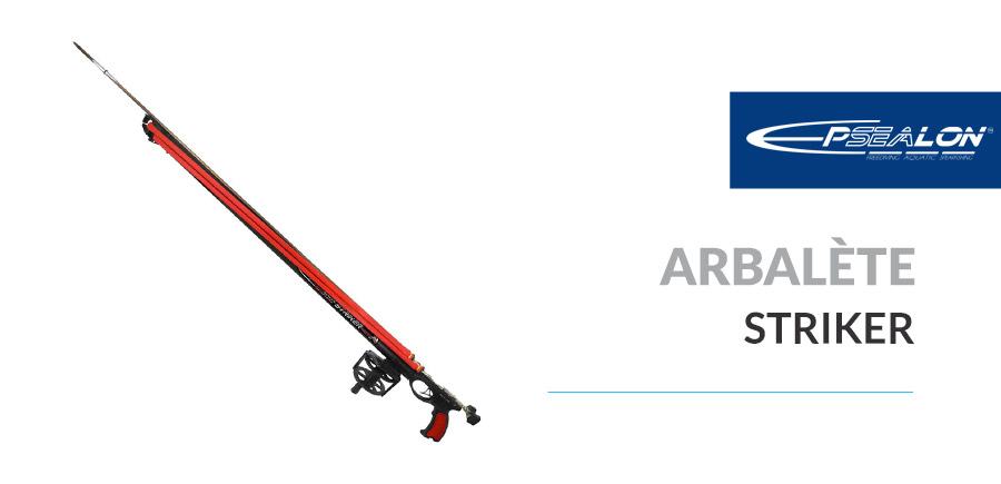 Arbalete Stiker Epsealon