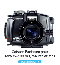 Caisson Fantasea Rx 100 M3 M4 M5