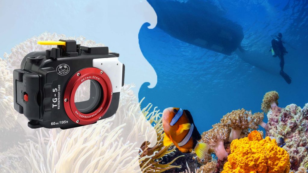 Caisson Tg 5 Seafrogs