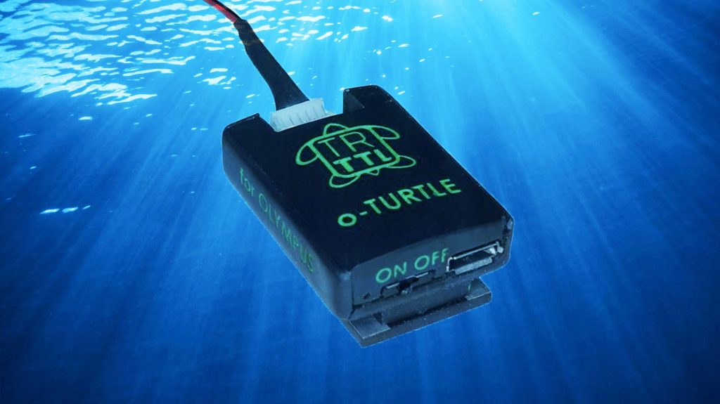 Converstisseur Ttl Turtle