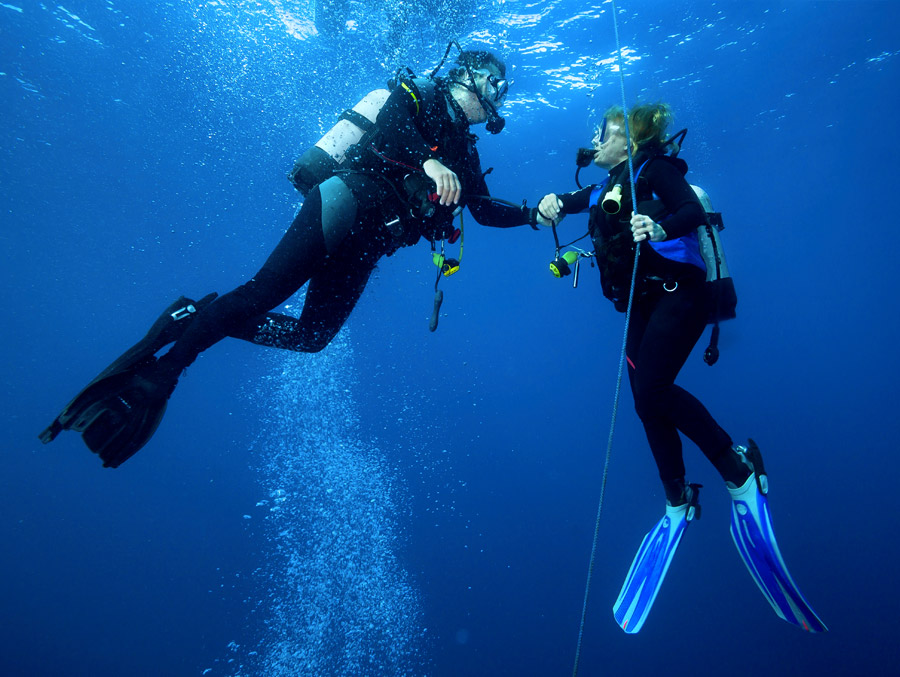 Detendeurs Plongee Sous Marine