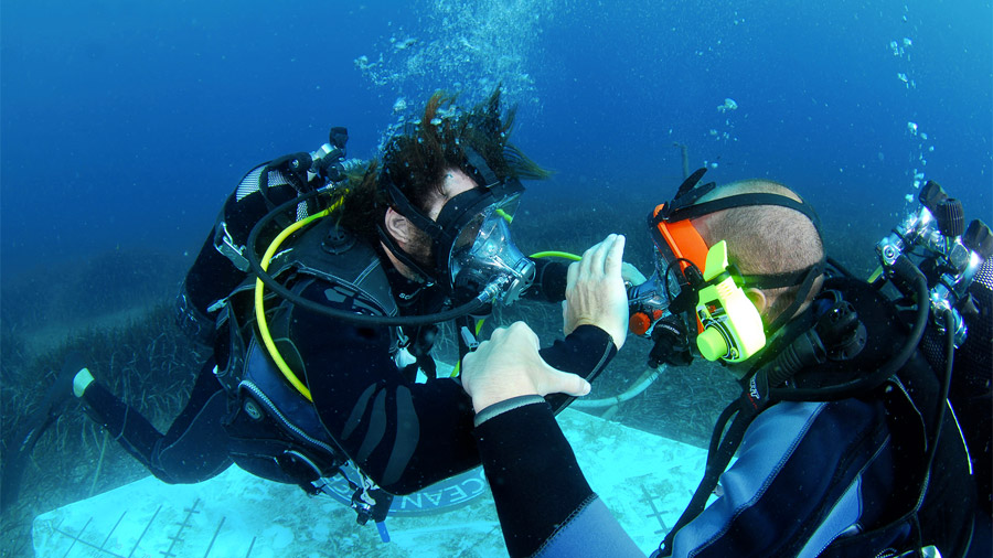 Marque Masques Faciaux Oceanreef 2