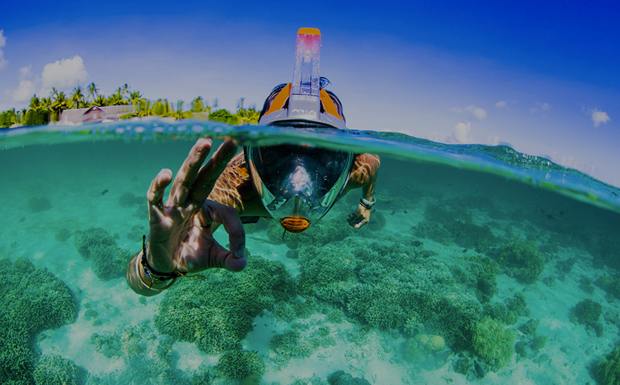 Marque Masques Faciaux Oceanreef 5