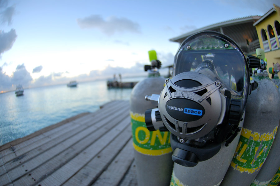 Marque Masques Faciaux Oceanreef