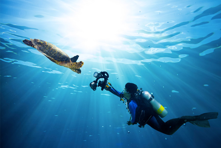 Marque Photo Sous Marine Ikelite 1