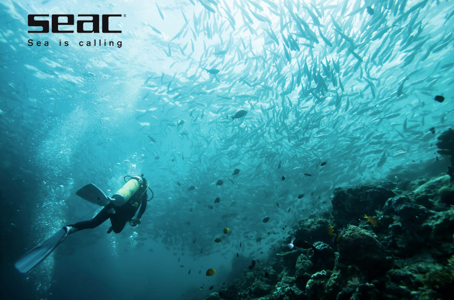 Marque Plongee Seac