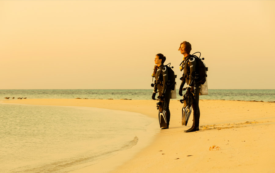 Marque Plongee Sous Marine Waterproof 1