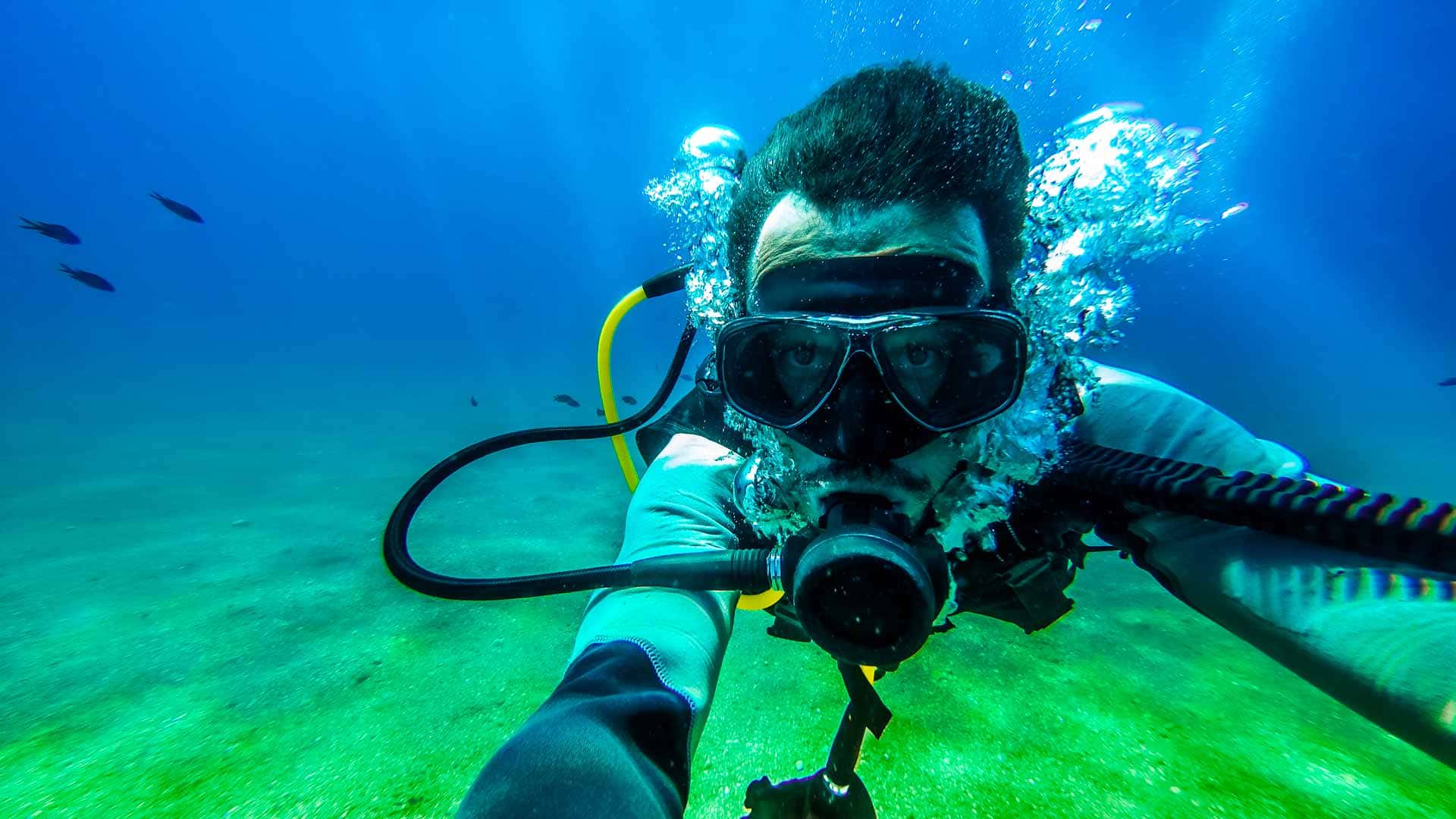 Meilleurs Detendeurs Plongee 2020 Blog