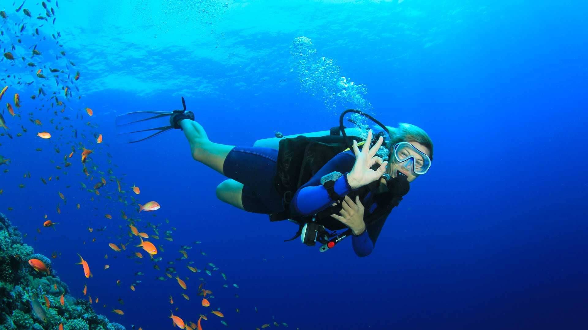 Meilleurs Gilets Plongee 2020 Blog