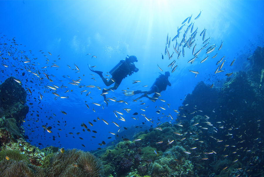 Meilleurs Ordinateurs Plongee 2