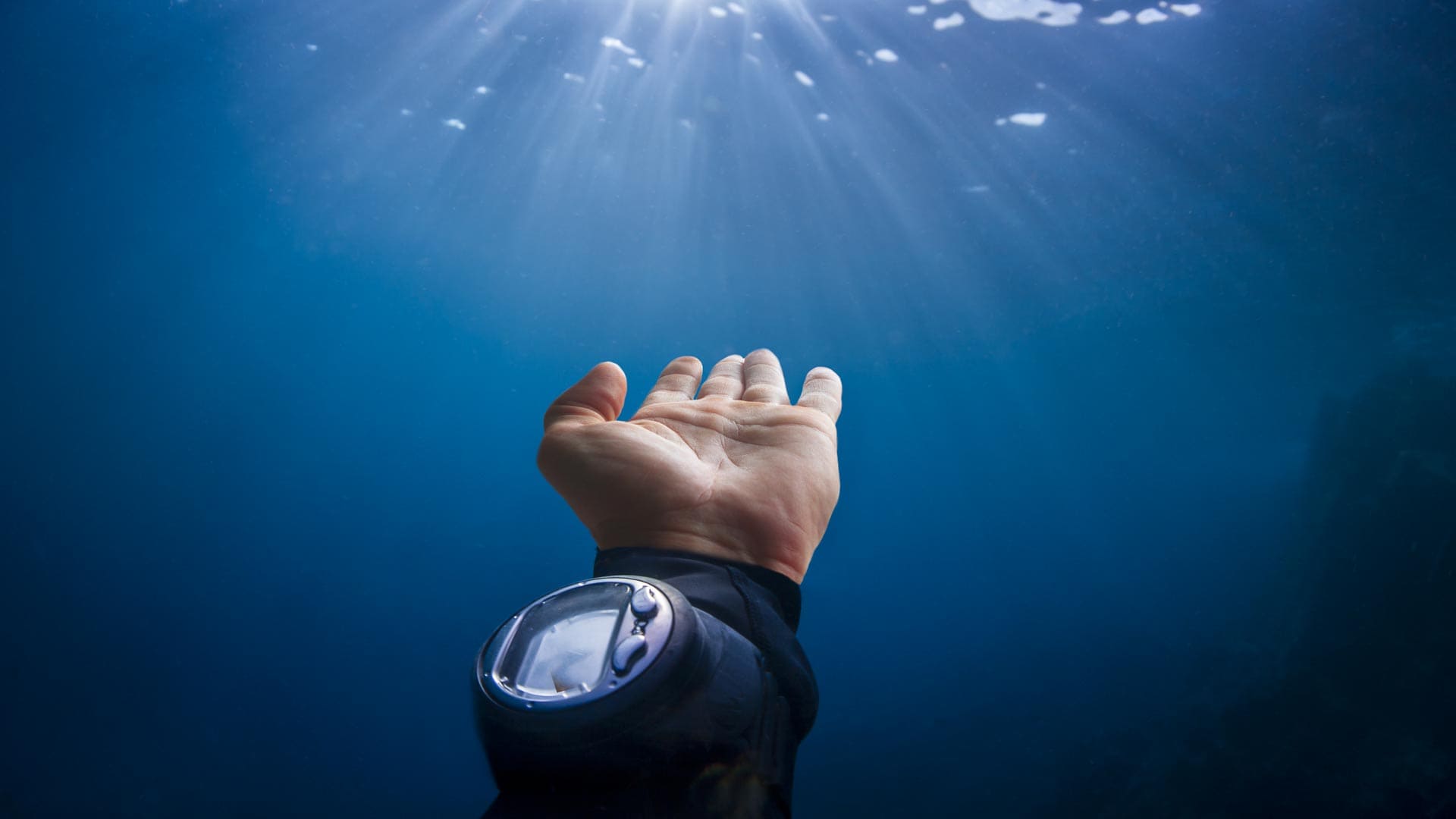 Meilleurs Ordinateurs Plongee 2020 Blog