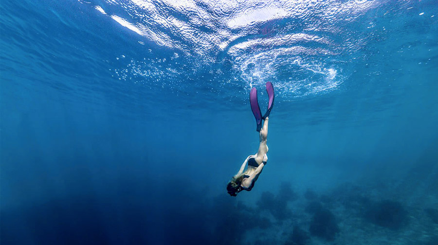 Montre Ordinateur Plongee Garmin