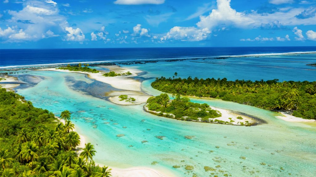 Plonge Rangiroa Polynesie