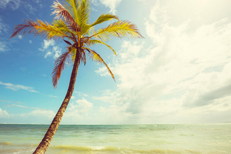 Plongee Ile Cocos Plage