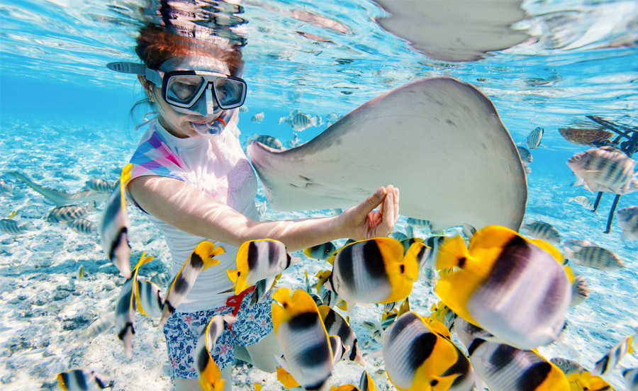 Plonger Tahiti Polynesie