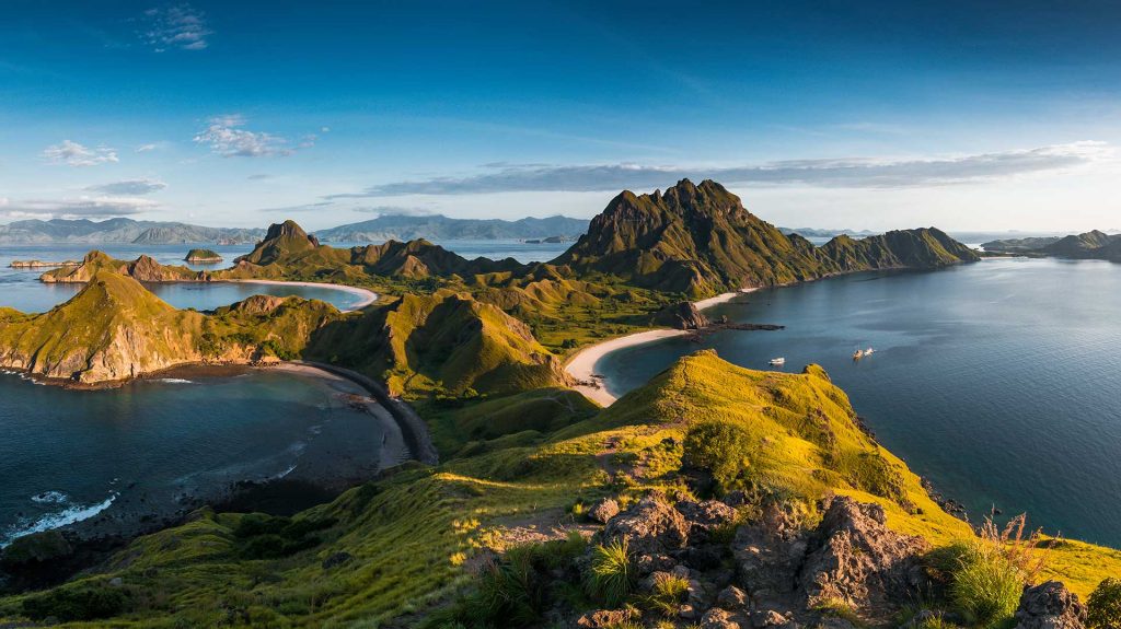 Suchandlers Komodo Avant