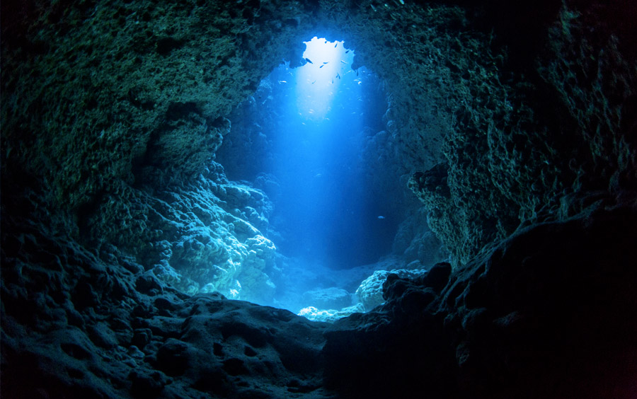 Cave Fish Rock Autralie