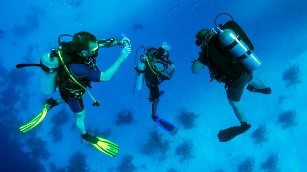 Choisir Gilet Stabilisation Plongee