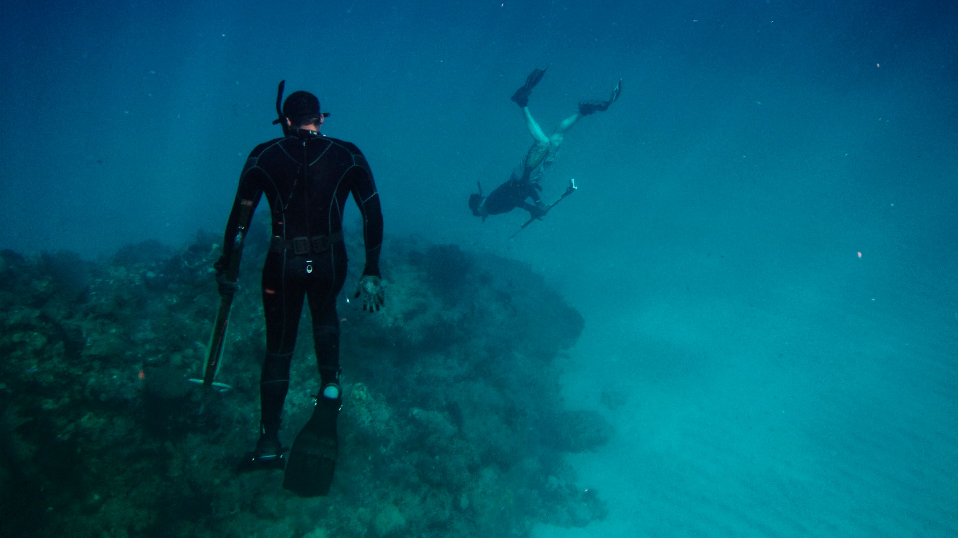 Conseils Choix Arbalete Chasse Sous Marine