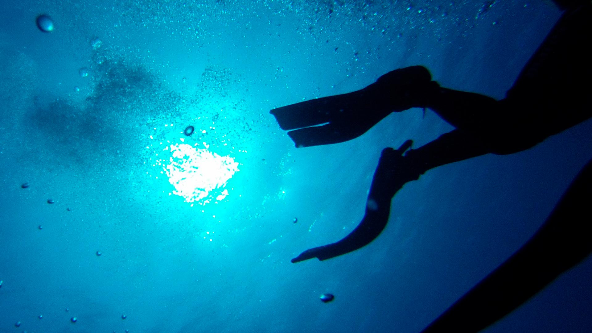 Conseils Choix Palmes Apnee Chasse