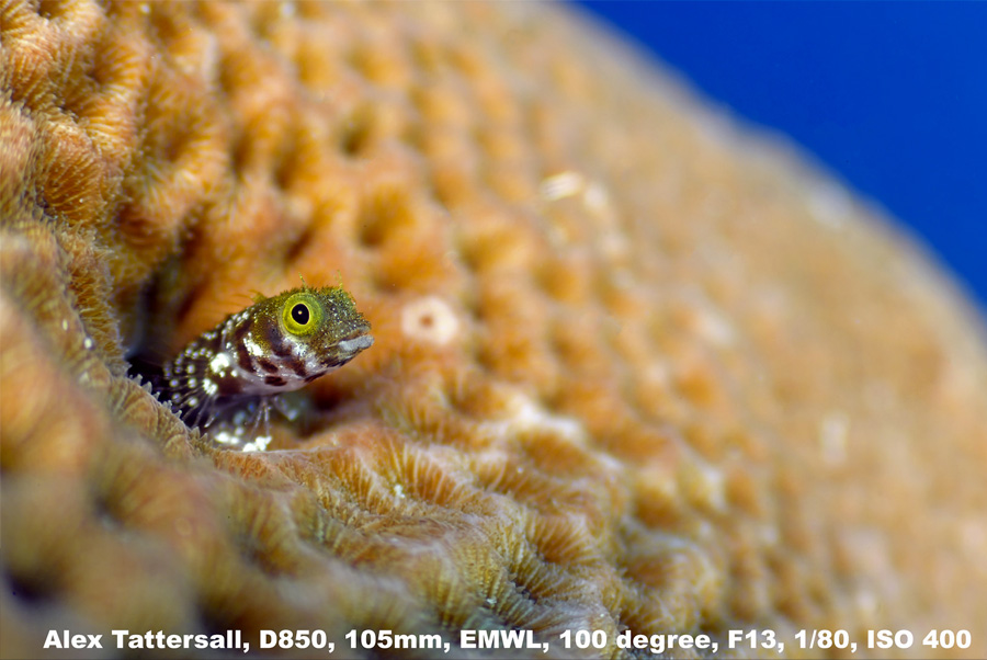 Photo Grand Angle 100 105mm D850