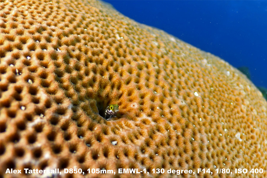 Photo Grand Angle 130 105mm D850