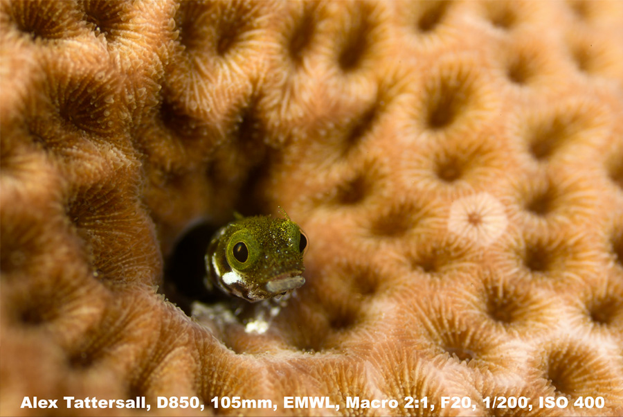 Photo Grand Angle 60 105mm D850