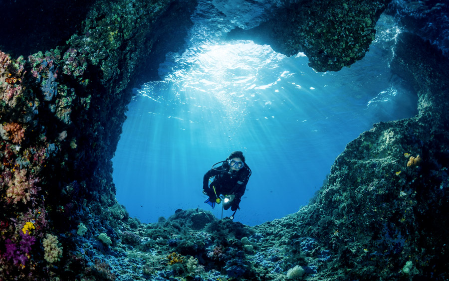 Plongeuse Cave Fish Rock Autralie