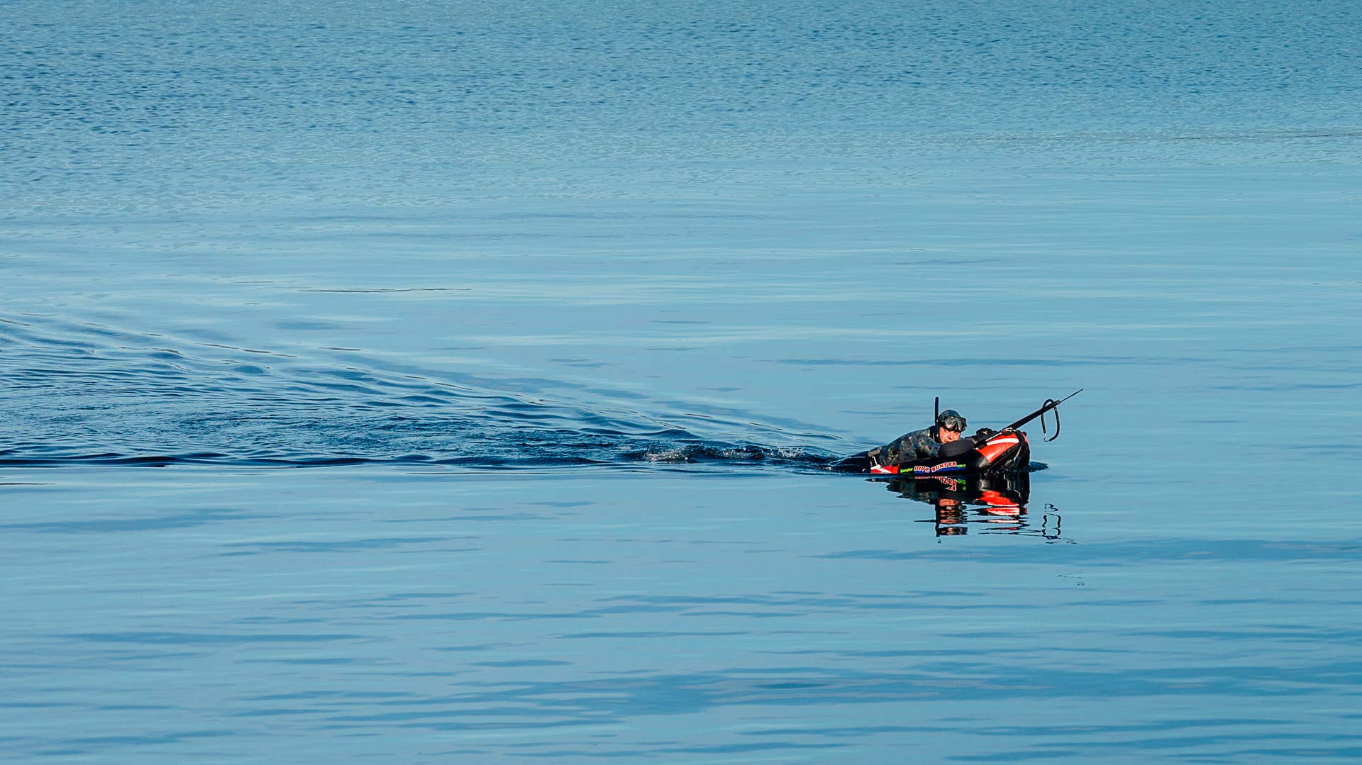 Reglementation Chasse Sous Marine France