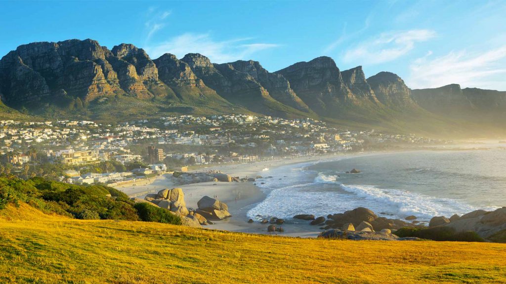 Sardine Run Afrique Du Sud