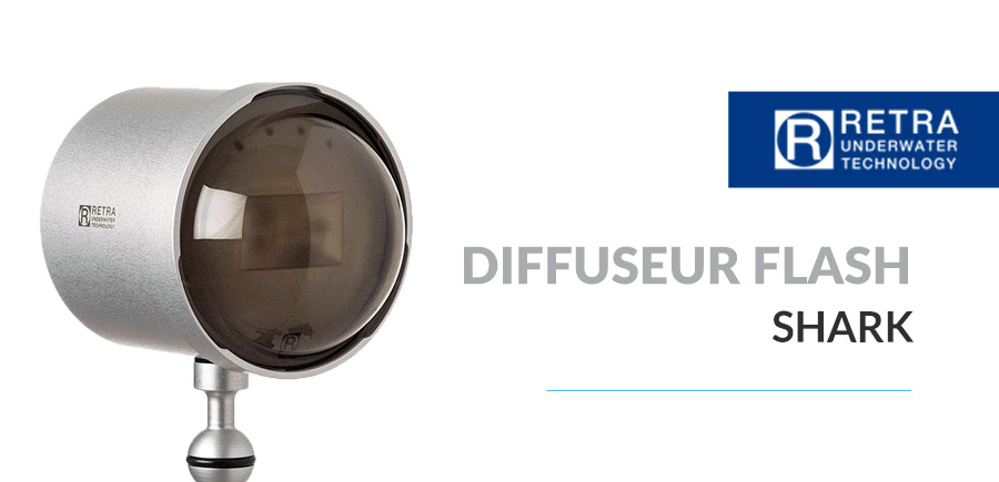 Widget Diffuseur Flash Shark