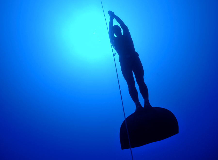 Conseils Choix Monopalme Apnee Sous Marine